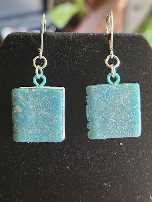 B3: Teal Sparkly Book earrings